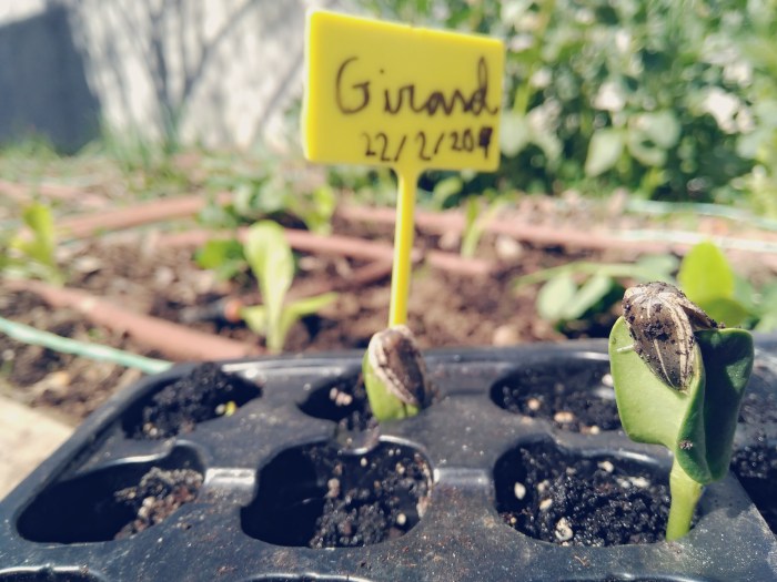 ice_2017-03-08-12-27-12-695