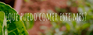 qué-puedo-comer-este-mes