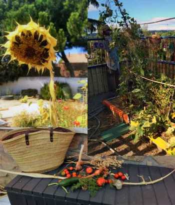 inicio-curso 2019_2020