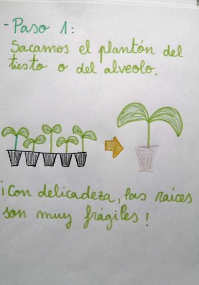 16-04-2020-14.41.19(1)