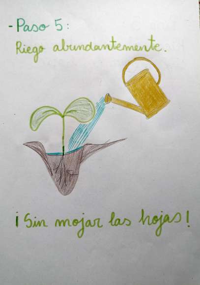 16-04-2020-14.41.19(5)