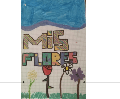 flores asier